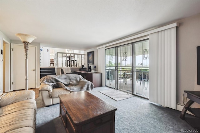 living area with carpet floors