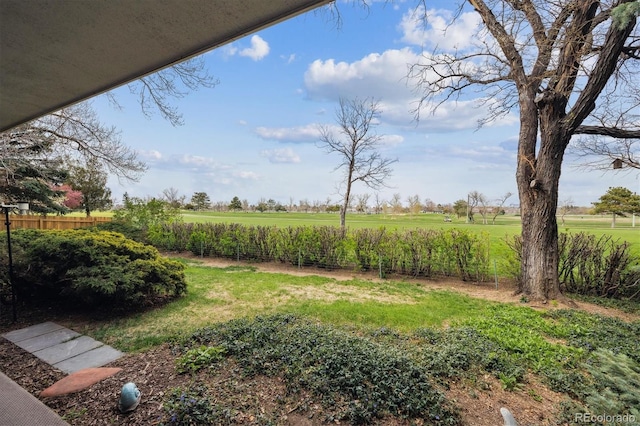 view of yard with a rural view