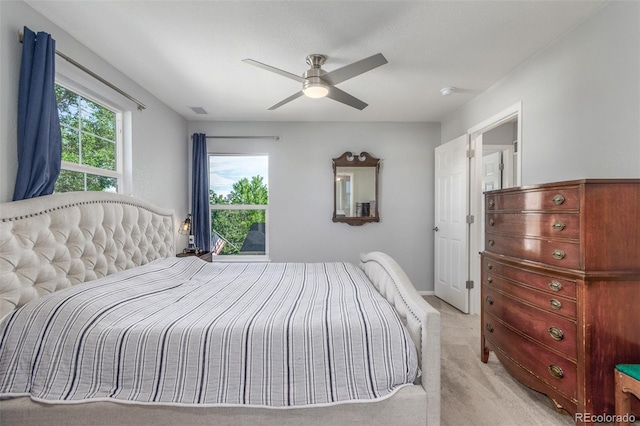 13653 Lilac St, Thornton, CO 80602 - photo 23
