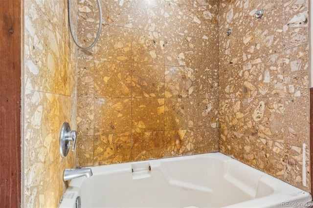 24427 Peak To Peak Hwy, Nederland, CO 80466 - detailed view of a bath and a shower