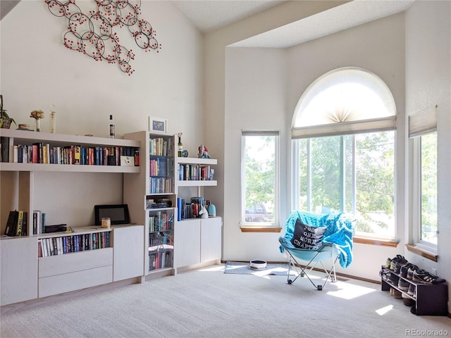 5695 W 109th Cir, Westminster, CO 80020 - sitting room with healthy amount of natural light and carpet floors