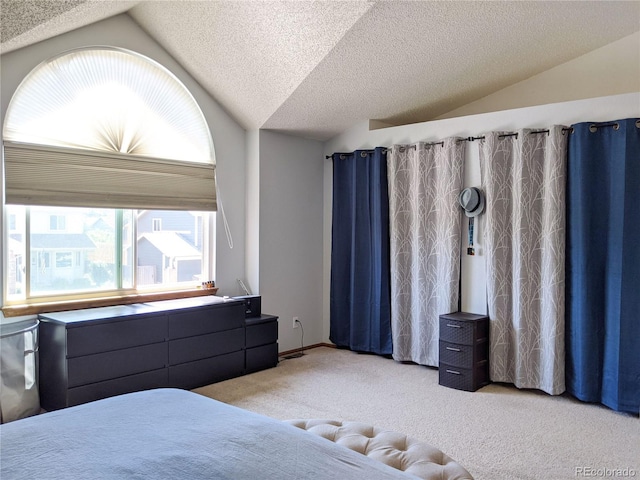 5695 W 109th Cir, Westminster, CO 80020 - bedroom with lofted ceiling, carpet floors, and a textured ceiling
