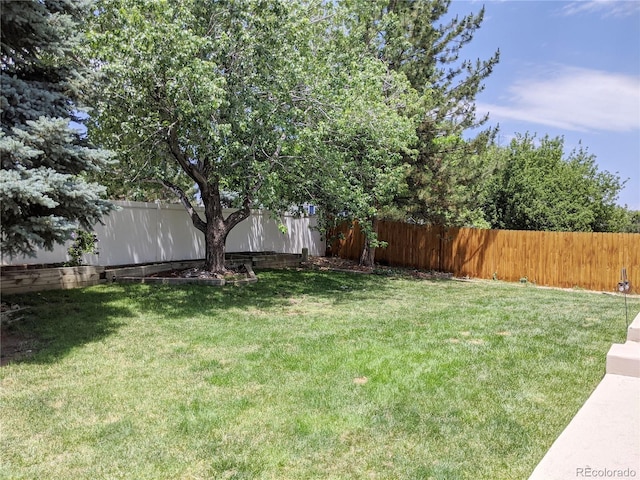 5695 W 109th Cir, Westminster, CO 80020 - view of fenced backyard