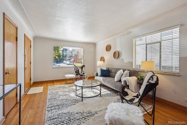 2431 S York St, Denver, CO 80210 - living area featuring light wood-style flooring