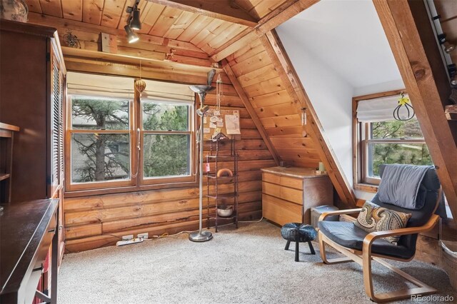 1280 N Cedar Brook Rd, Boulder, CO 80304 - photo 20