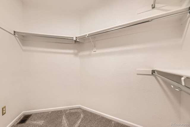 5016 S Nelson St Unit C, Littleton, CO 80127 - spacious closet with carpet flooring