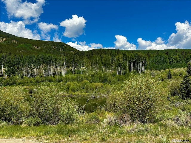 view of mountain feature