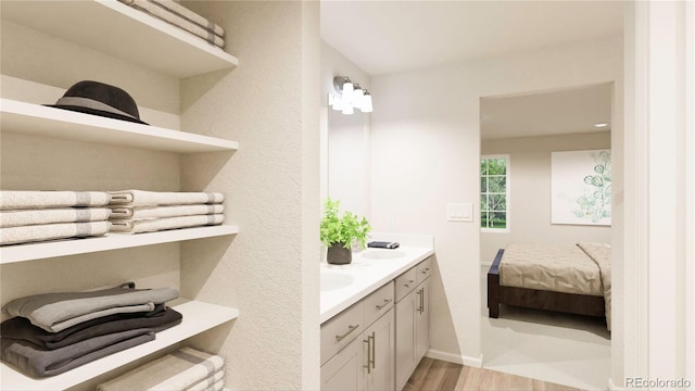 bathroom featuring vanity and wood-type flooring