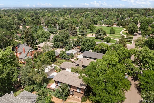 769 Olive St, Denver, CO 80220 - photo 4