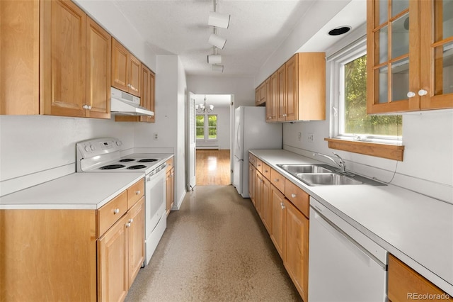 769 Olive St, Denver, CO 80220 - photo 13