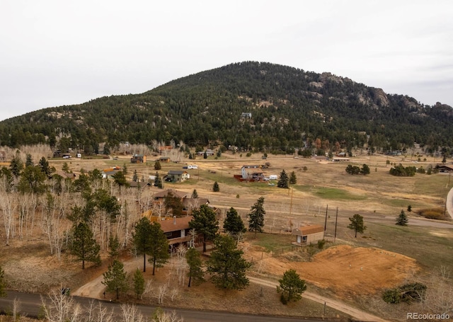 26167 De Berry St, Conifer, CO 80433 - photo 30
