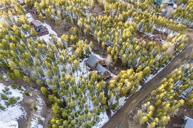 46 Apache Rd, Evergreen, CO 80439 - drone / aerial view
