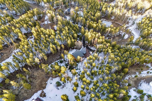 46 Apache Rd, Evergreen, CO 80439 - aerial view