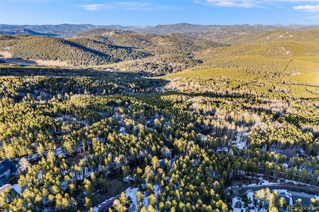 46 Apache Rd, Evergreen, CO 80439 - aerial view with a mountain view