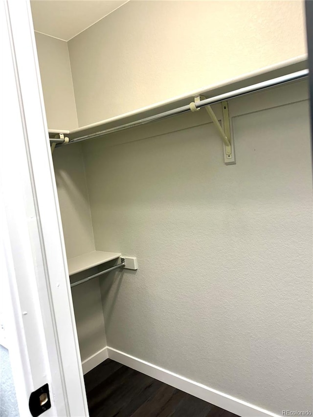 spacious closet with dark wood-type flooring