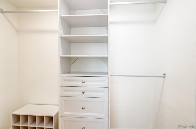 1250 N Humboldt St Unit 202, Denver, CO 80218 - view of walk in closet