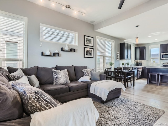 living room with light hardwood / wood-style flooring, a healthy amount of sunlight, and sink