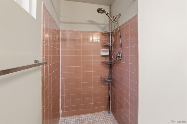 2672 S Magnolia St, Denver, CO 80224 - full bath with a tile shower