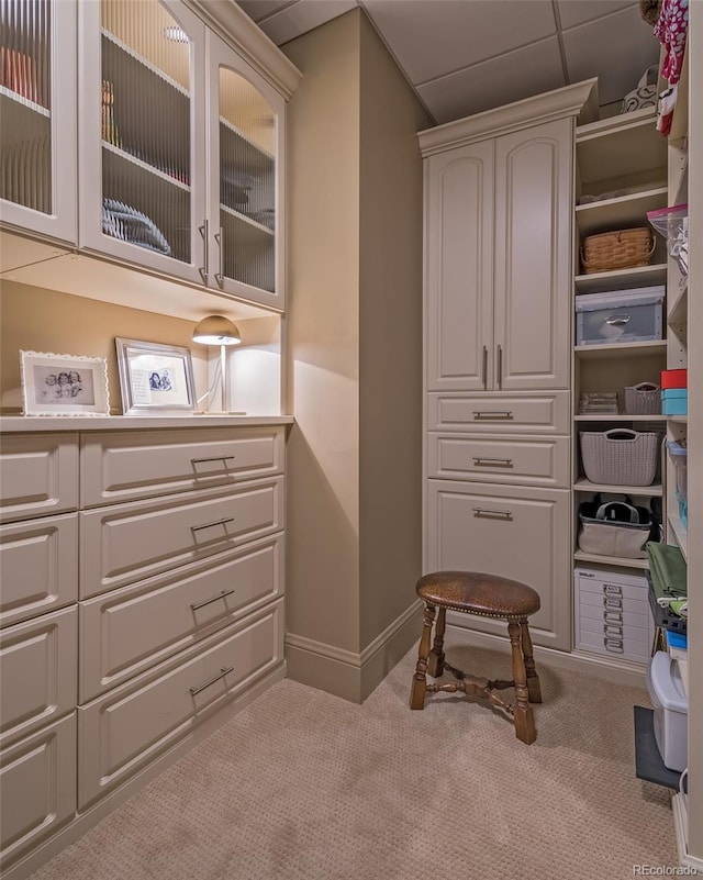 walk in closet with light carpet