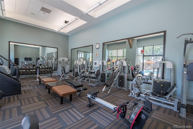 exercise room featuring a skylight, dark carpet, and a high ceiling