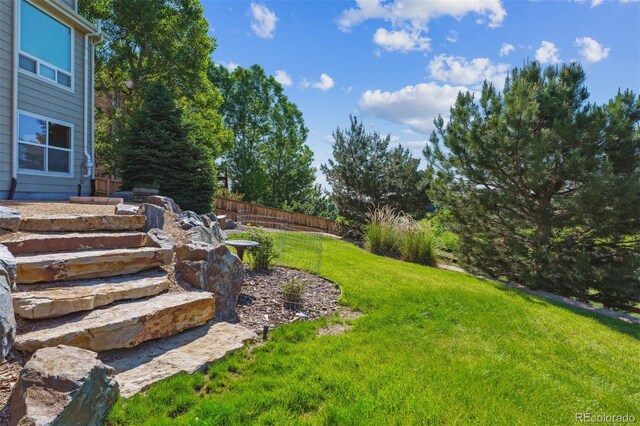 1022 Orion Way, Castle Rock, CO 80108 - view of yard