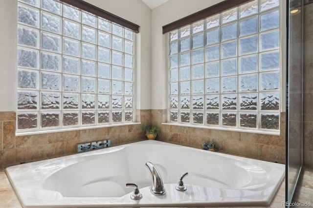 1022 Orion Way, Castle Rock, CO 80108 - bathroom with a garden tub and healthy amount of natural light