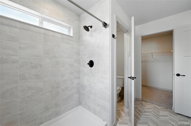 260 E 4th St, Berthoud, CO 80513 - bathroom featuring a tile shower, toilet, and a spacious closet