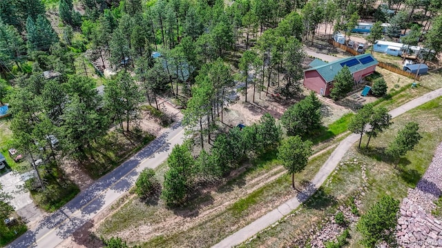 1075 S Woodland Ave, Woodland Park, CO 80863 - photo 3