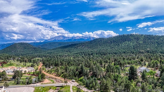 1075 S Woodland Ave, Woodland Park, CO 80863 - photo 4