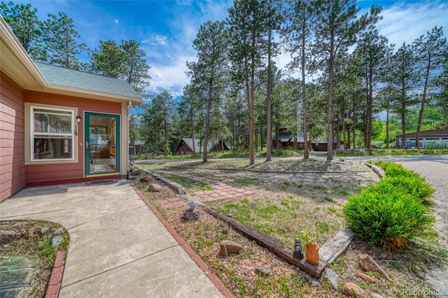 1075 S Woodland Ave, Woodland Park, CO 80863 - photo 6