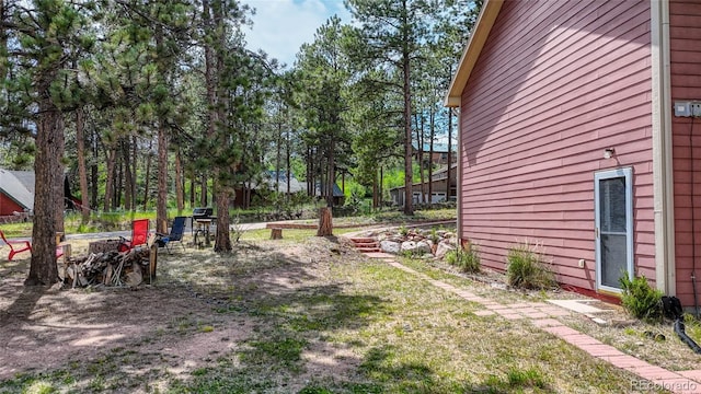 1075 S Woodland Ave, Woodland Park, CO 80863 - photo 24