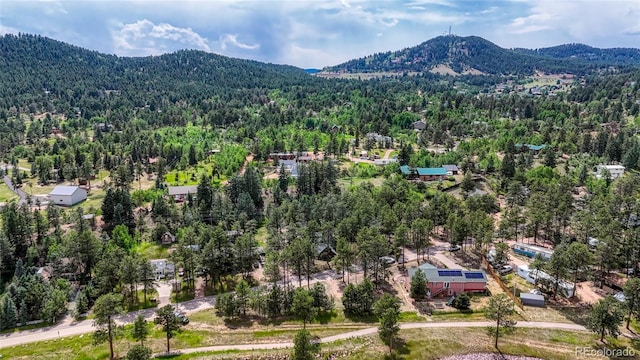 1075 S Woodland Ave, Woodland Park, CO 80863 - photo 28