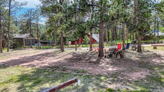 1075 S Woodland Ave, Woodland Park, CO 80863 - photo 31