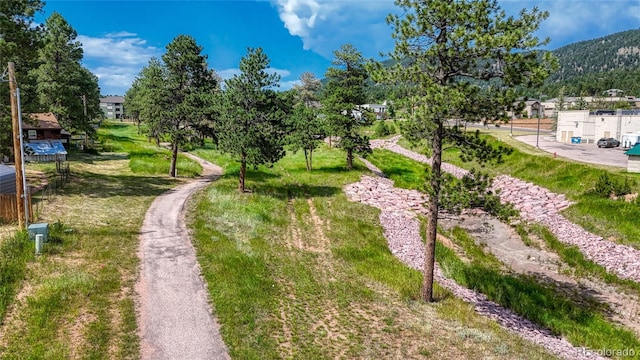1075 S Woodland Ave, Woodland Park, CO 80863 - photo 37