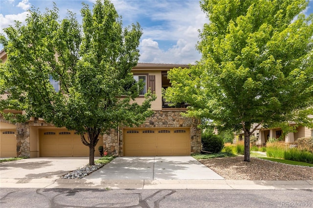 10121 Bluffmont Ln, Lone Tree, CO 80124 - photo 17