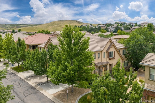10121 Bluffmont Ln, Lone Tree, CO 80124 - photo 19