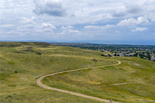 10121 Bluffmont Ln, Lone Tree, CO 80124 - photo 21