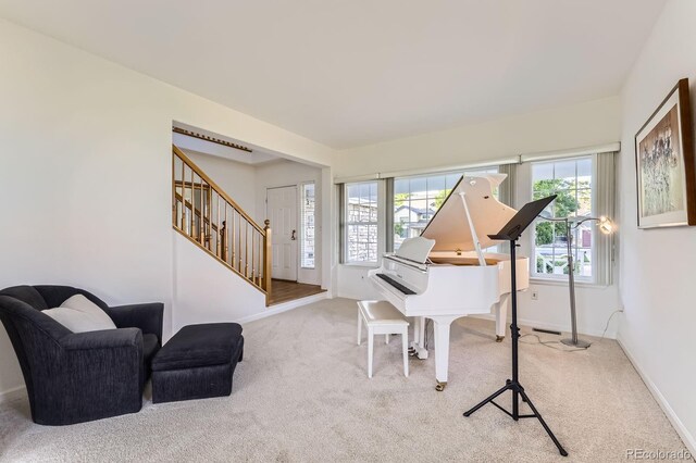 8915 S Field Ct, Littleton, CO 80128 - sitting room with carpet floors and stairs