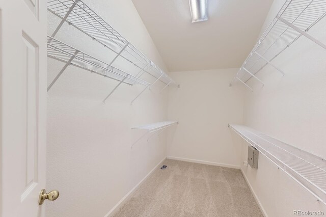 8915 S Field Ct, Littleton, CO 80128 - spacious closet with light carpet
