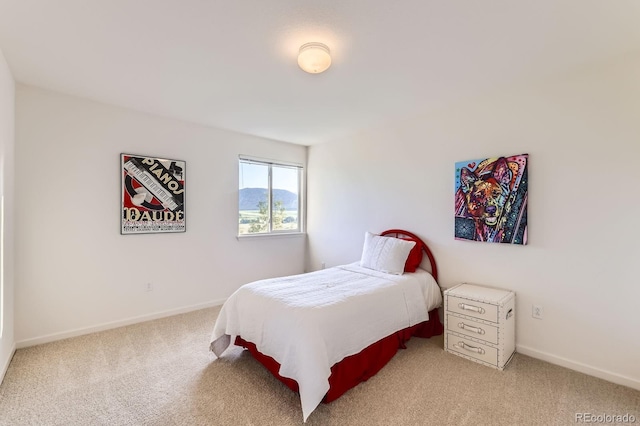 8915 S Field Ct, Littleton, CO 80128 - bedroom with light colored carpet and baseboards