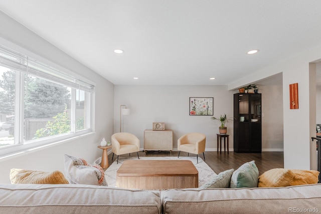 6059 Routt St, Arvada, CO 80004 - living area featuring wood finished floors and recessed lighting
