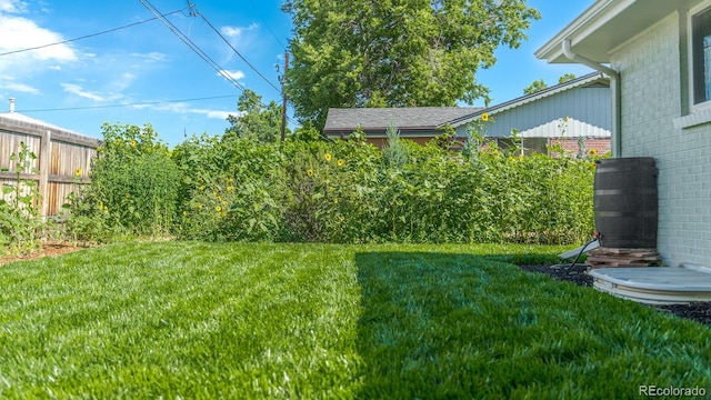 6059 Routt St, Arvada, CO 80004 - view of yard