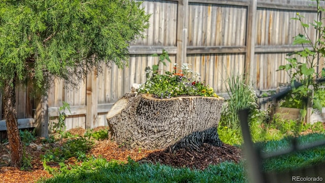 6059 Routt St, Arvada, CO 80004 - view of yard