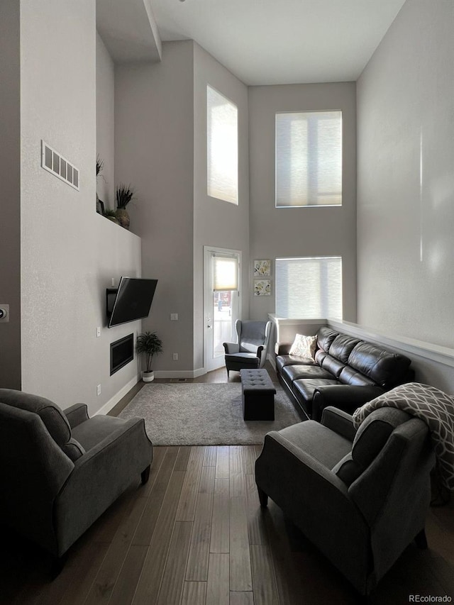 living room featuring hardwood / wood-style floors, a high ceiling, and a wealth of natural light