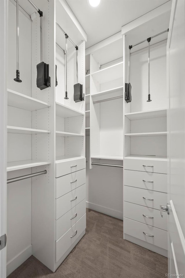 view of walk in closet