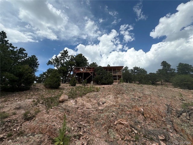 view of local wilderness