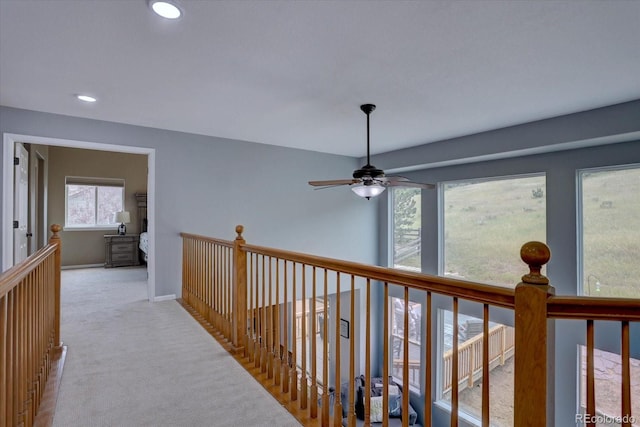 7217 Red Mesa Ct, Littleton, CO 80125 - photo 23
