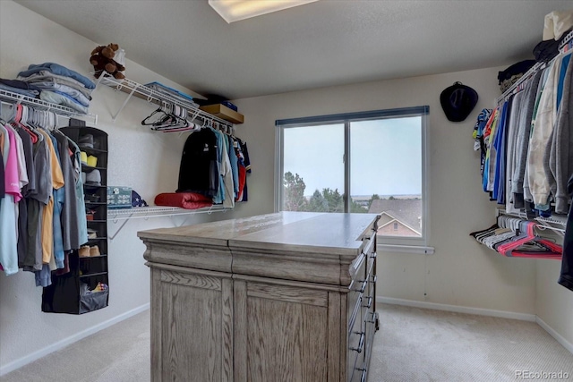 7217 Red Mesa Ct, Littleton, CO 80125 - photo 29