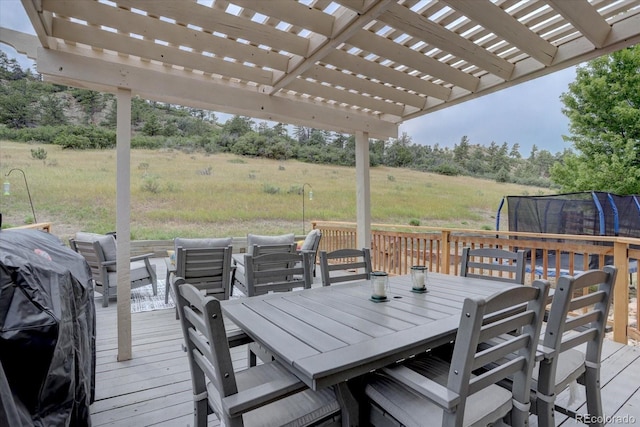 7217 Red Mesa Ct, Littleton, CO 80125 - photo 40