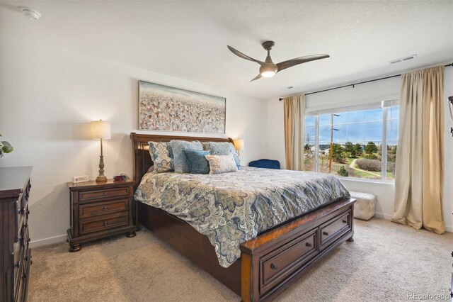 749 Bishop Pine Way, Castle Rock, CO 80104 - photo 24